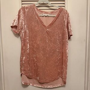 Amaryllis Blush Velvet V-Neck Short Sleeve Top